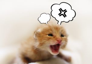 イライラしてしまう今の状況を変えたい方へ