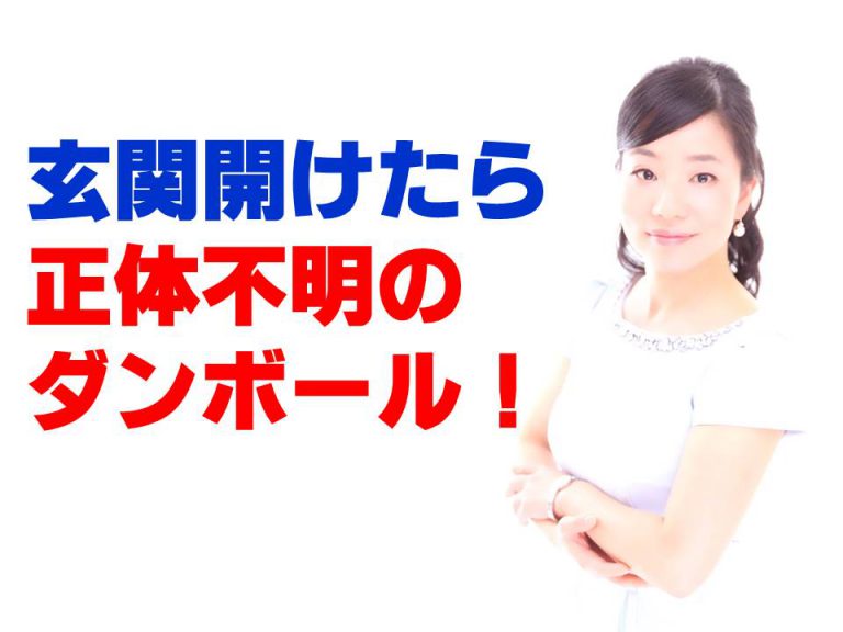 玄関開けたら正体不明のダンボールがありました！