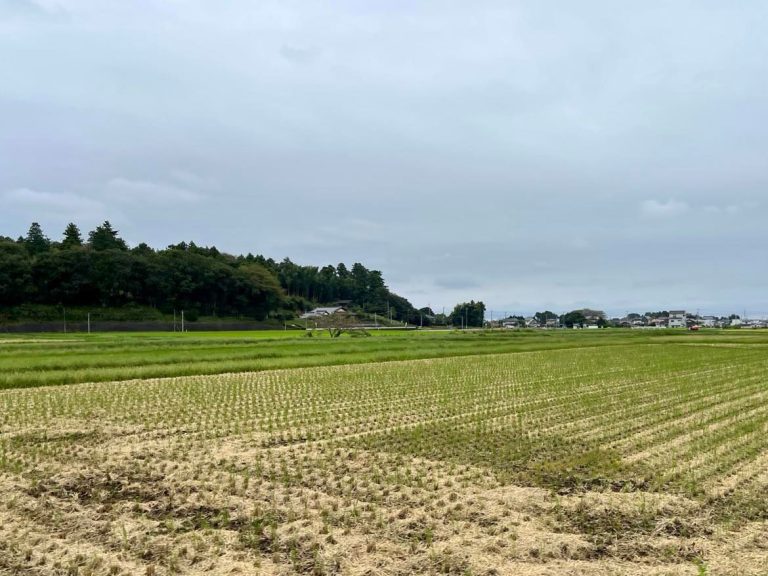 お彼岸は晴れる！？ステキな思い込みのつくり方