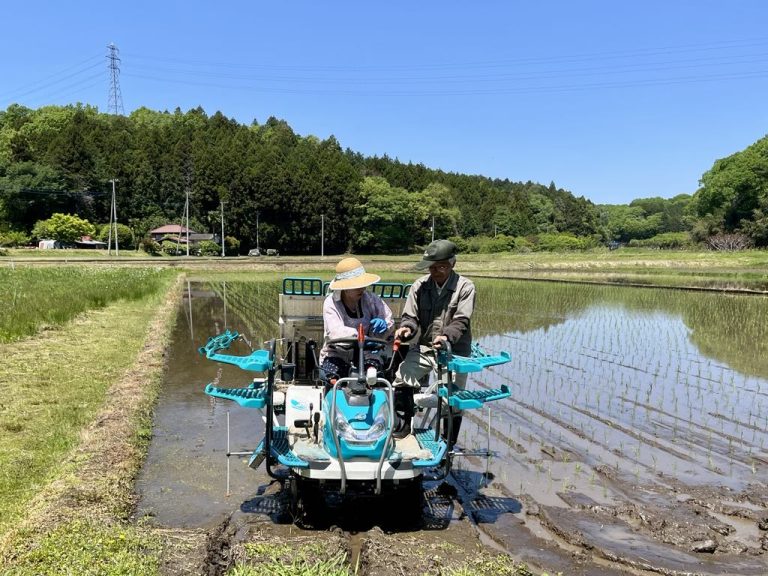 ３度目の正直！？@田植え