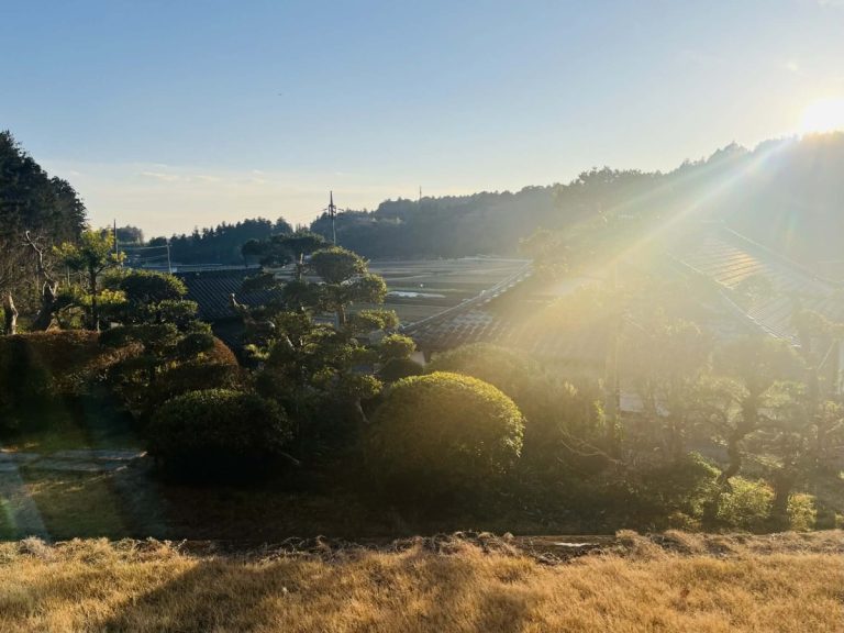 人が育たない理由は、才能ではなく「見る目と仕組み」にある