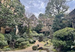 正しさだけでは成果は出ない｜“うっかり者”が組織を伸ばす理由